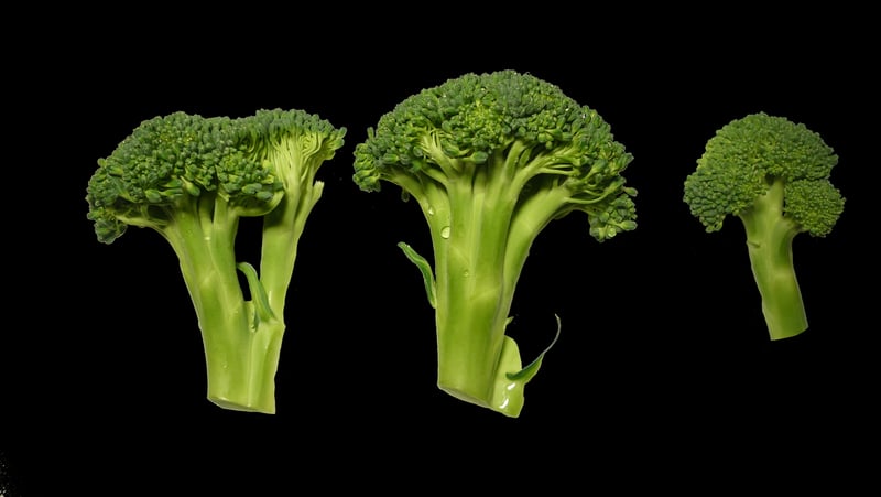 Broccoli
